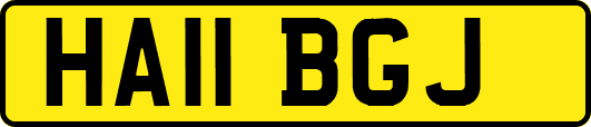 HA11BGJ