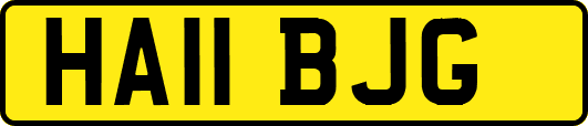HA11BJG