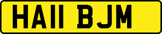 HA11BJM