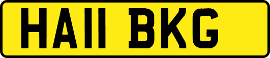 HA11BKG