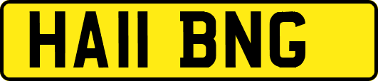 HA11BNG