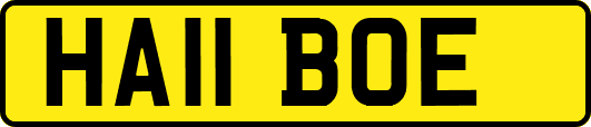 HA11BOE