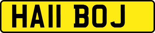 HA11BOJ