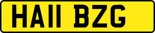 HA11BZG
