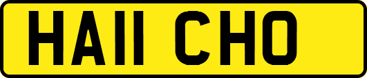 HA11CHO