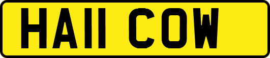 HA11COW