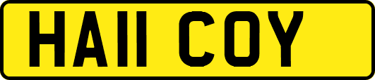 HA11COY
