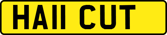 HA11CUT