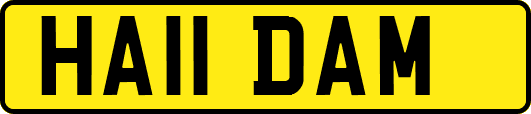 HA11DAM