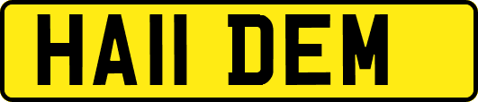 HA11DEM