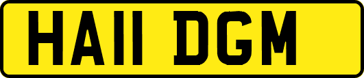 HA11DGM