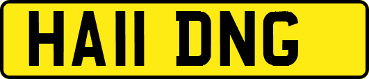 HA11DNG