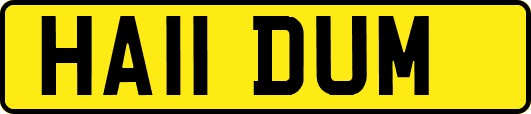 HA11DUM