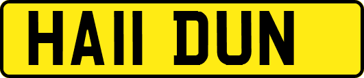 HA11DUN