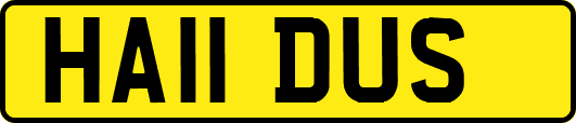 HA11DUS