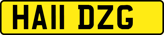 HA11DZG