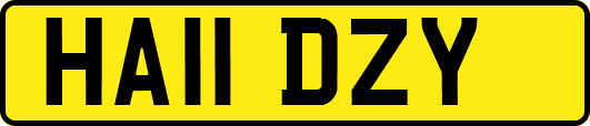 HA11DZY