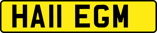 HA11EGM