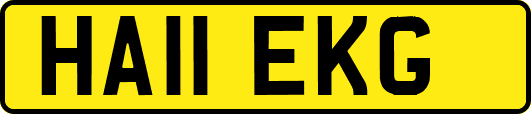 HA11EKG