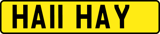 HA11HAY