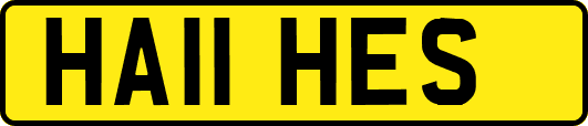 HA11HES