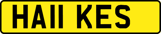 HA11KES