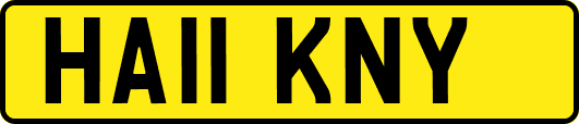 HA11KNY