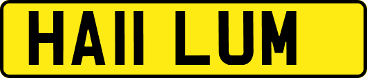 HA11LUM