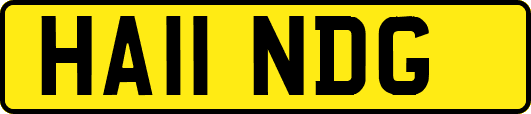 HA11NDG
