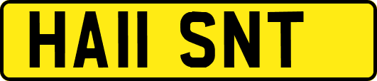 HA11SNT