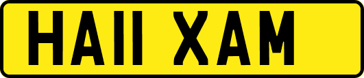 HA11XAM