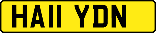 HA11YDN