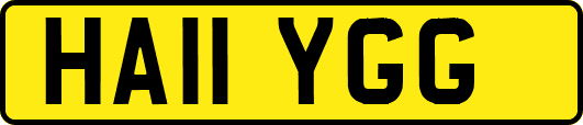 HA11YGG