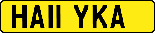 HA11YKA