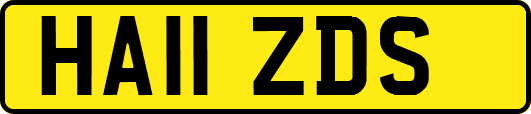HA11ZDS