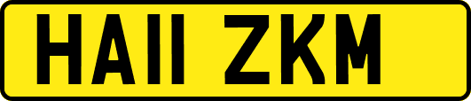 HA11ZKM