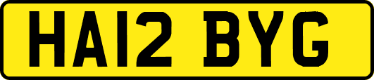 HA12BYG