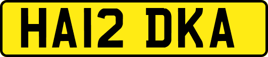 HA12DKA