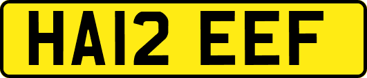 HA12EEF
