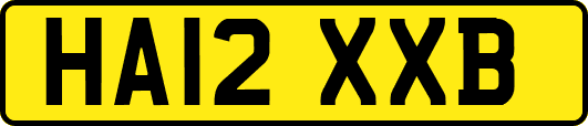 HA12XXB