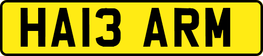 HA13ARM