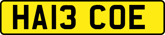 HA13COE