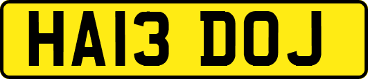 HA13DOJ