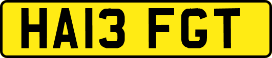 HA13FGT