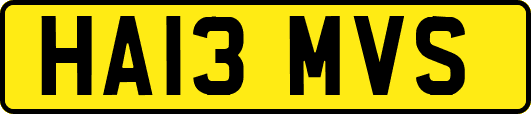 HA13MVS