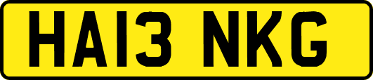 HA13NKG