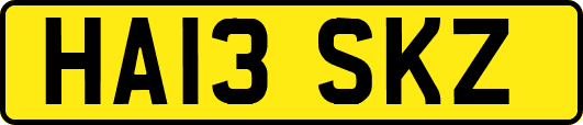 HA13SKZ