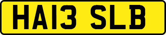 HA13SLB