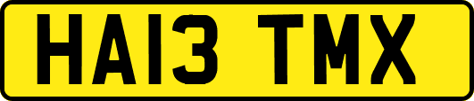 HA13TMX