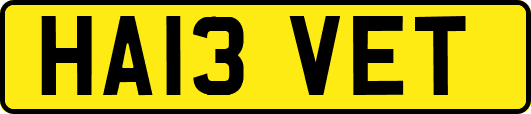 HA13VET